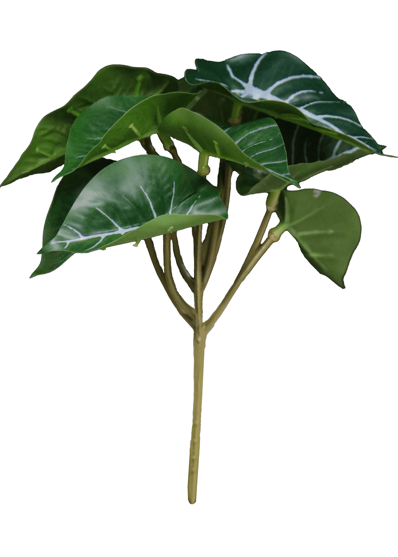 12066.png