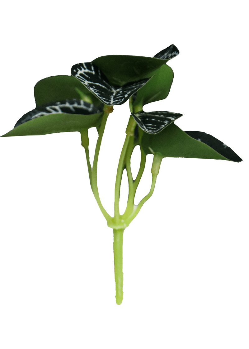 12064.png