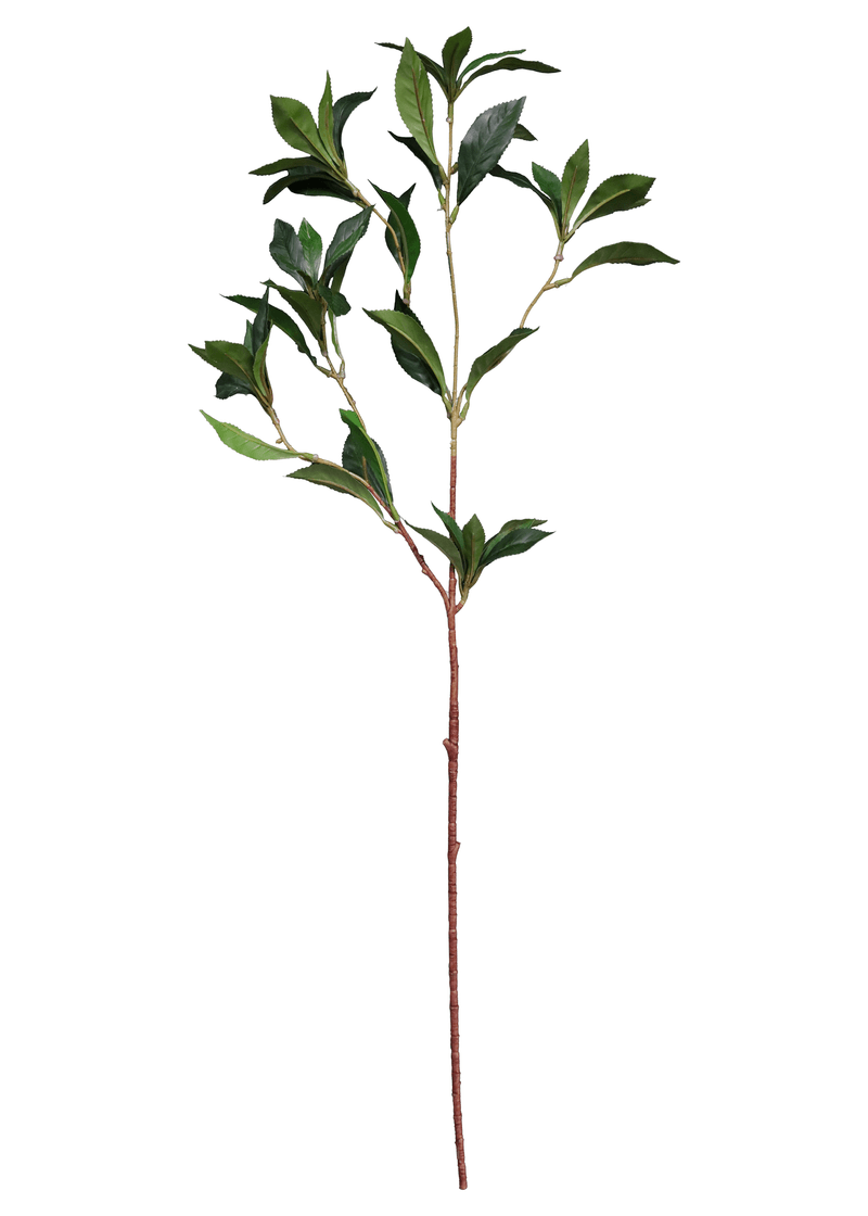 12044.png