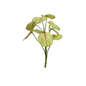 BEGÔNIA 45CM 9F