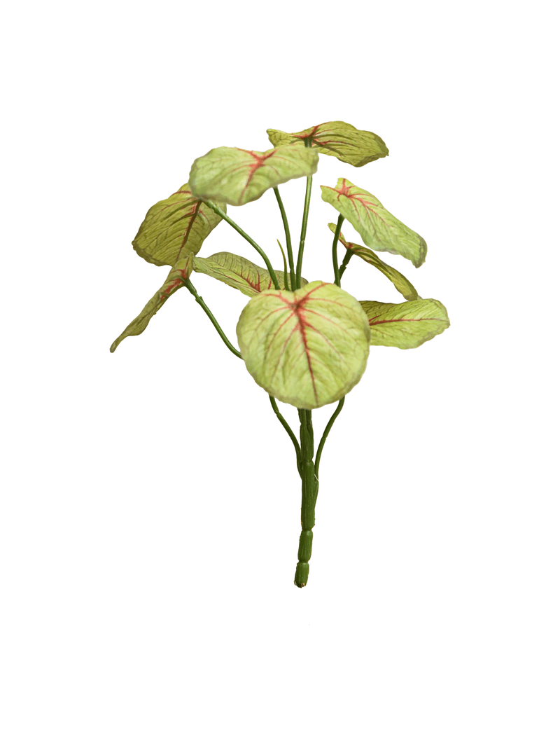 12040.png