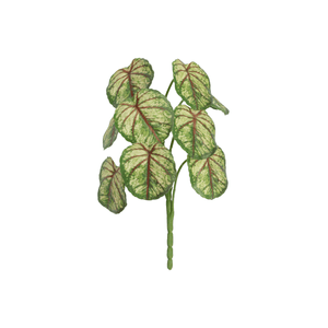 BEGÔNIA 45CM 9F