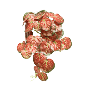 BEGONIA REDONDA 45CM 29 FOLHAS