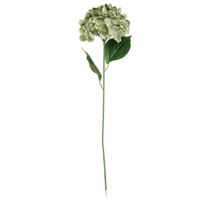 Haste De Hortensia 80Cm