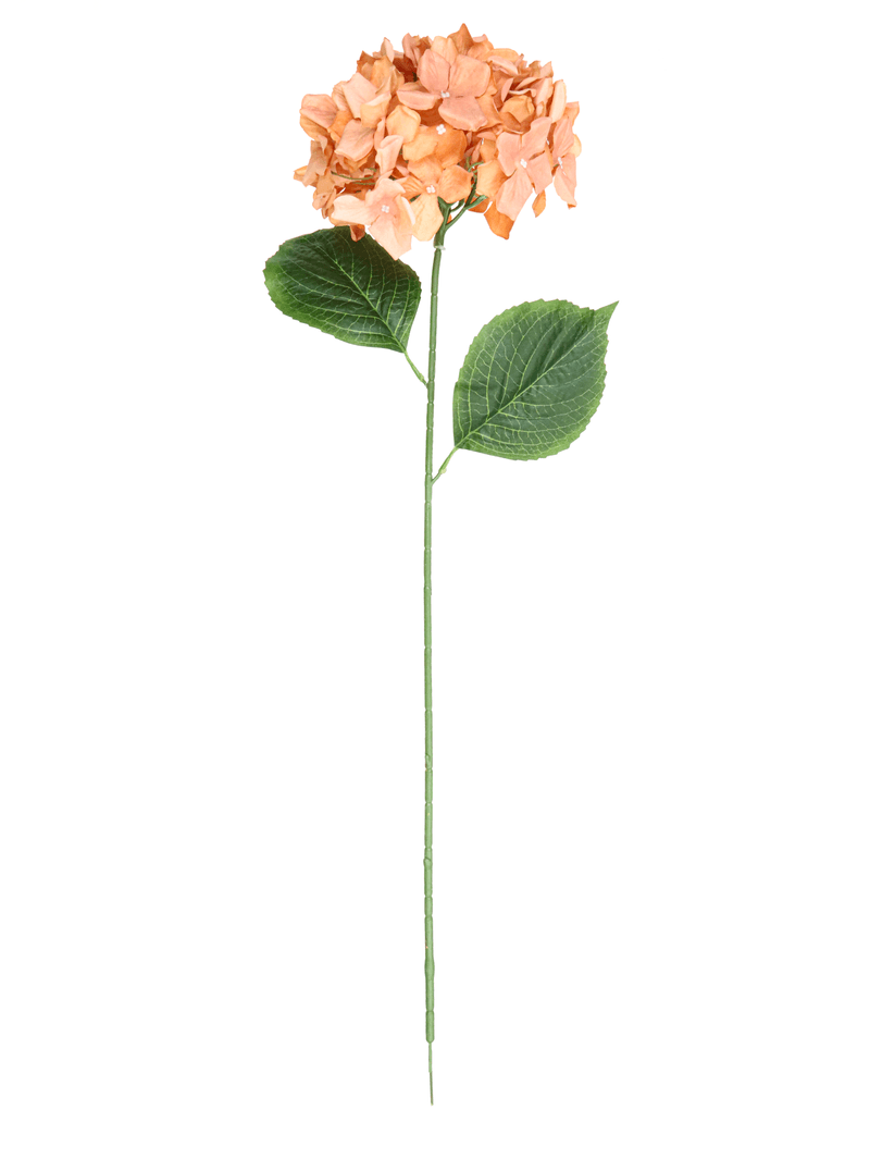11083.png
