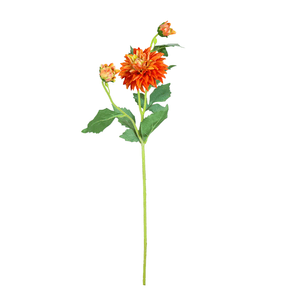 Dalia X3 61Cm