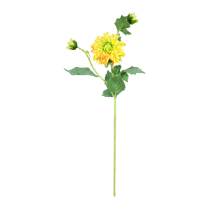 Dalia X3 61Cm