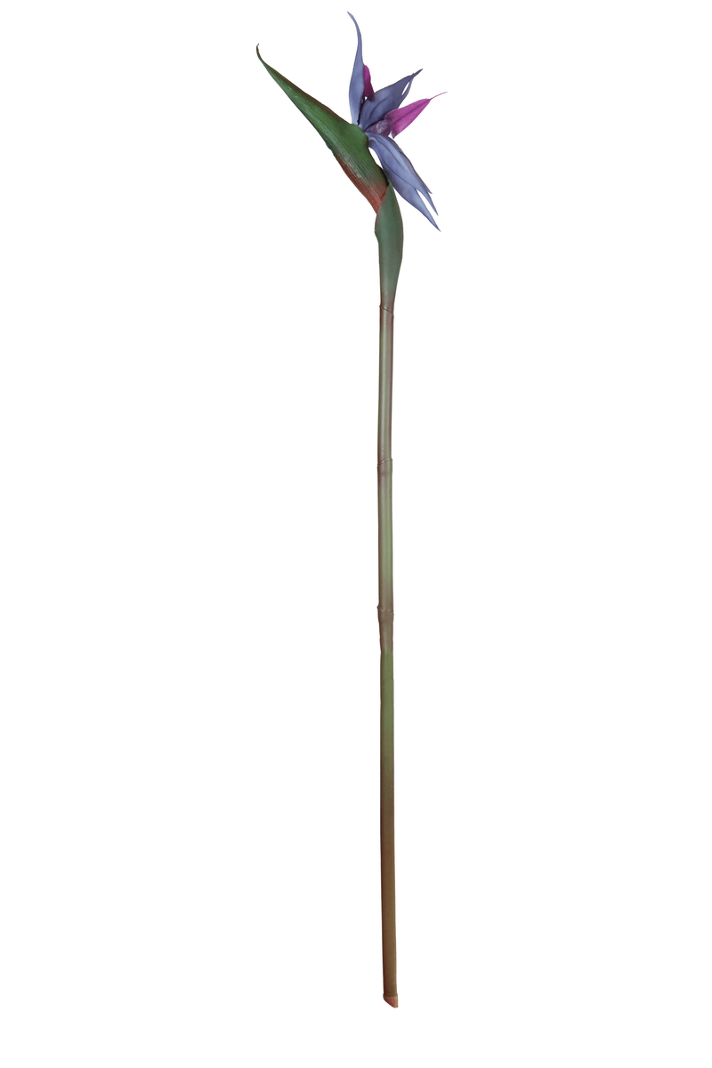 11342.png