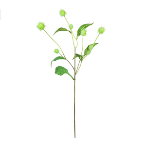 ONIUM 60CM