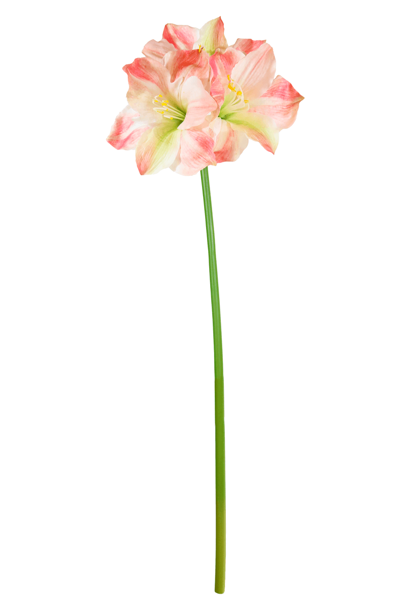 11358.png