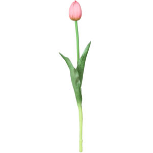 TULIPA UNITARIA 41CM