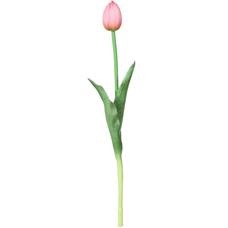 11360.png