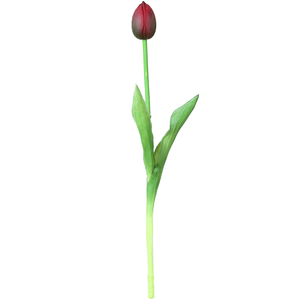 Tulipa Unitaria 41Cm