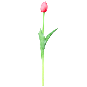 Tulipa Unitaria 41Cm