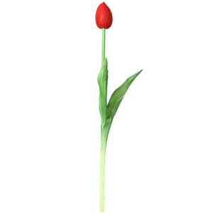 Tulipa Unitaria 41Cm