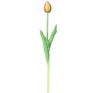 Tulipa Unitaria 41Cm