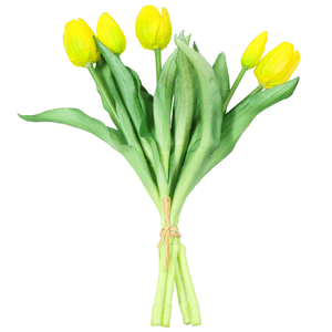 TULIPA X5 30CM