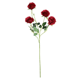 HASTE DE ROSA X4 75CM