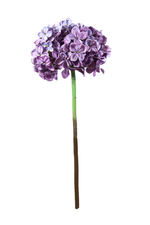11388.png