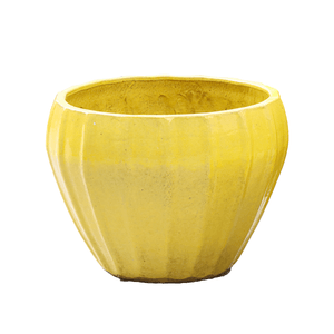 VASO VIETINAMITA PALLE YELLOW