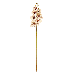 ORQUIDEA X7 88CM