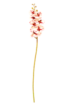 13050.png