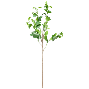 FEIJÃO SOLTEIRO 87CM 43 FOLHAS