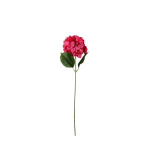 Haste De Hortensia 58Cm
