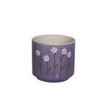 00138-roxo