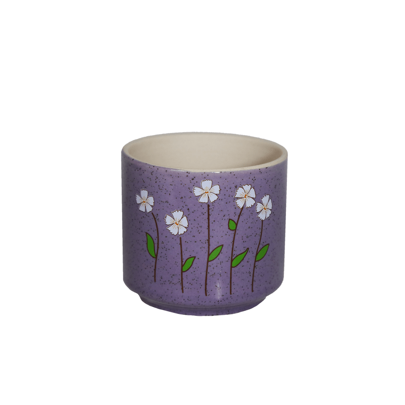 00138-roxo