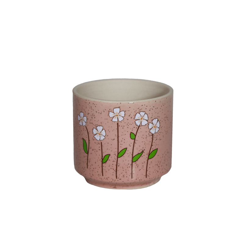 00138-rosa