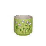 00138-verde-claro