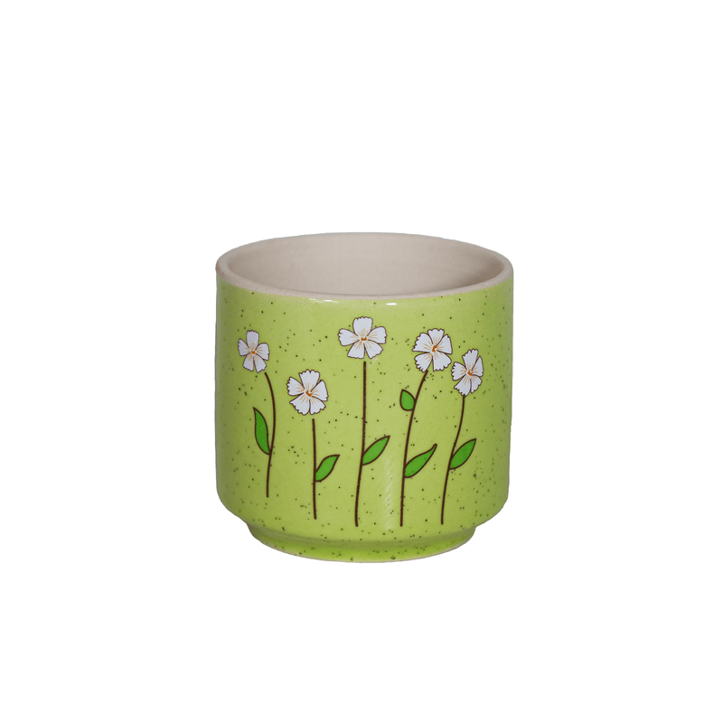 00138-verde-claro